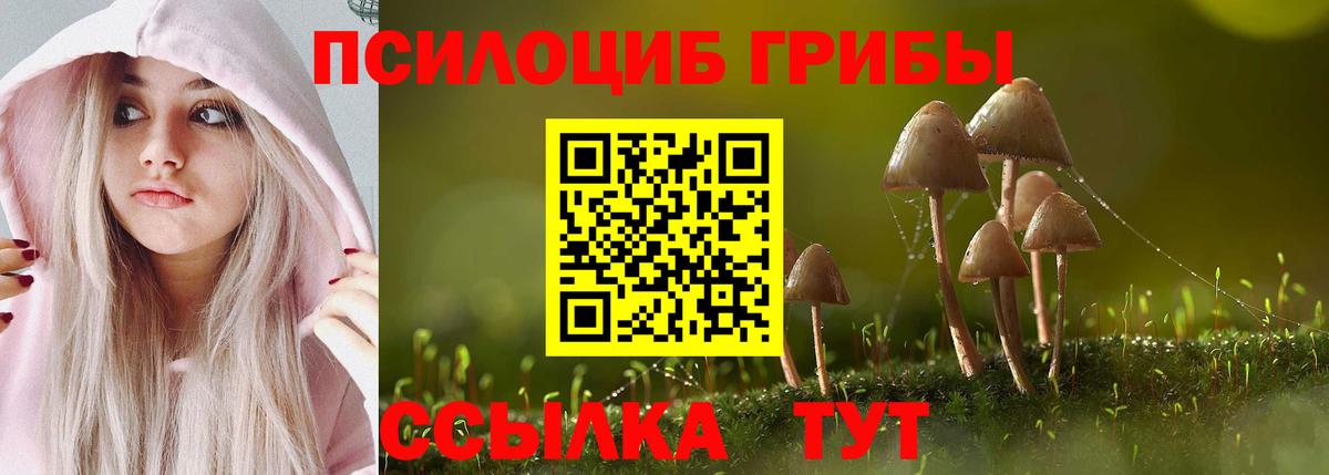 Альметьевск  Псилоцибиновые грибы Magic Shrooms  где купить наркоту  Вход с VPN 